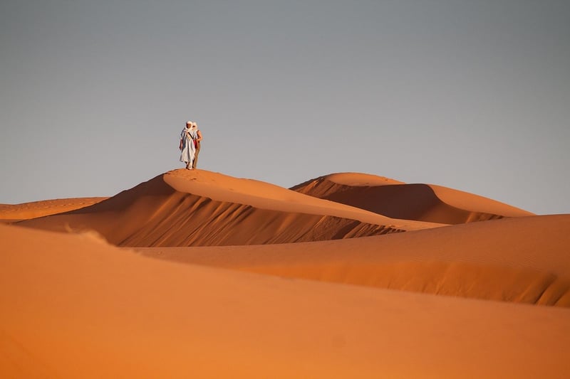 Bedouin Culture