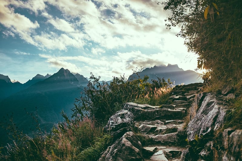 Rocky Trails